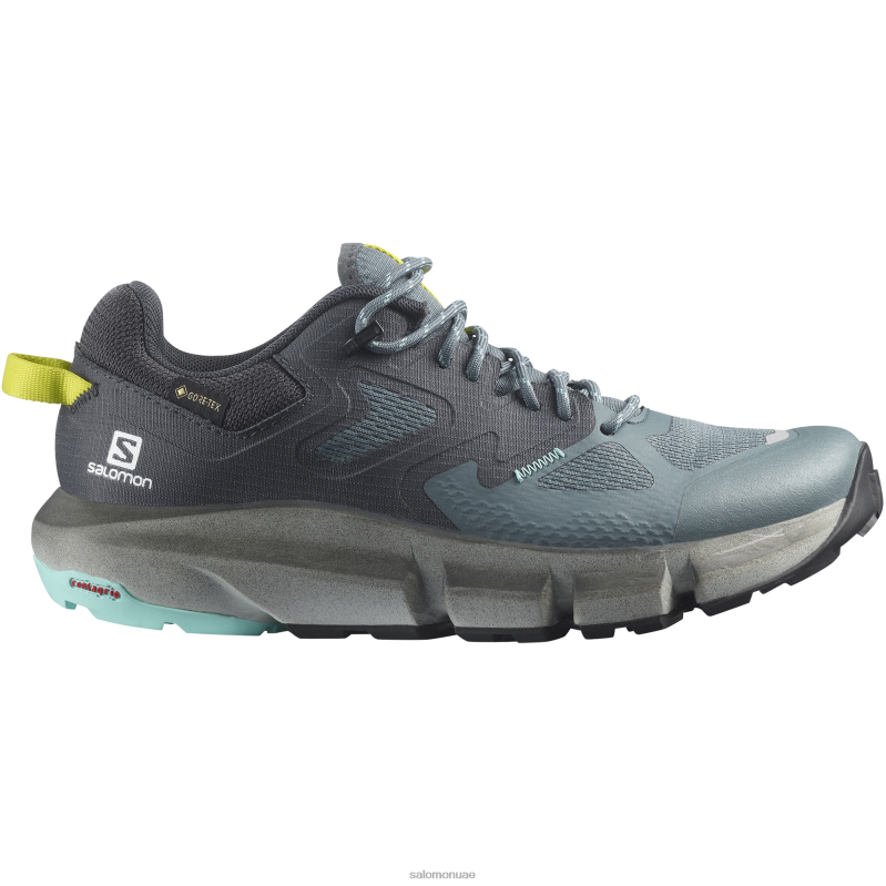 8DLD21526 Salomon الفيلق الأزرق-ورقة النعناع حذاء الجري Trail للنساء XA Pro 3D V8 Gore-tex Legion Blue-Trooper-Mint Leaf